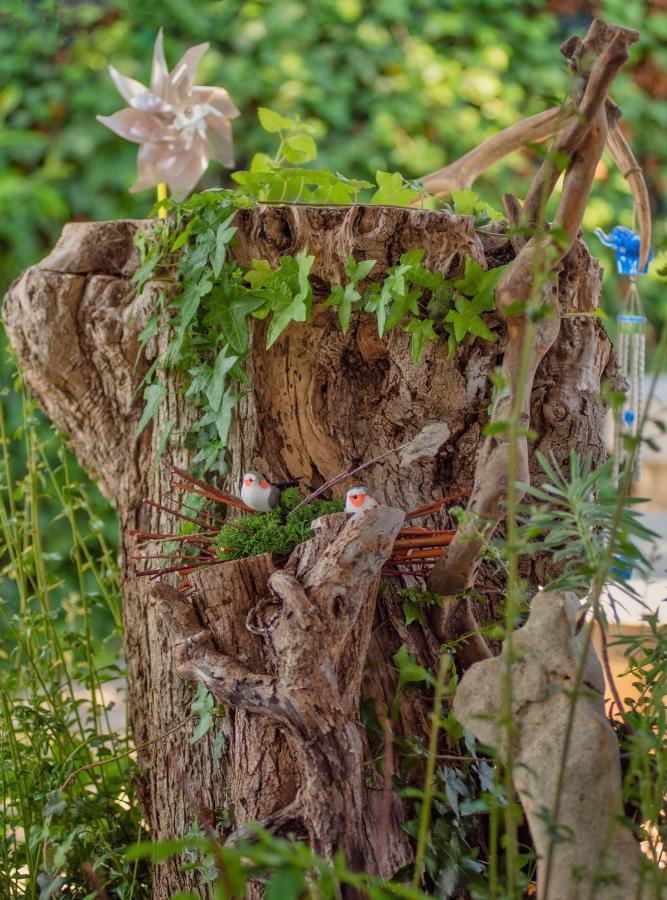 Studio App Luka-We Love Nature. Sveti Ivan  エクステリア 写真